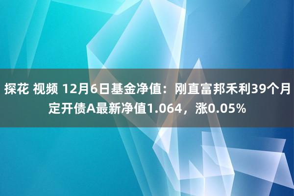 探花 视频 12月6日基金净值：刚直富邦禾利39个月定开债A最新净值1.064，涨0.05%