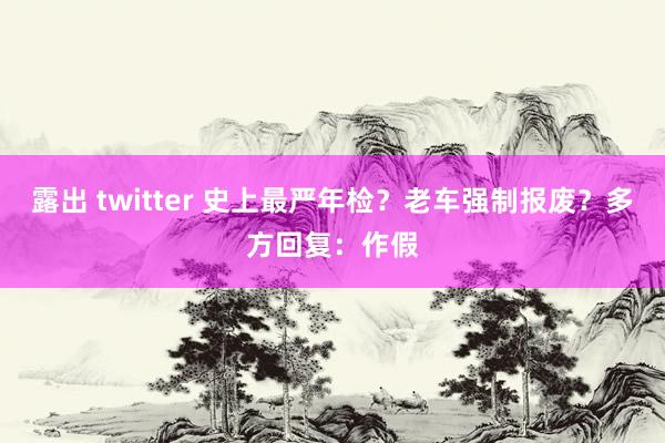 露出 twitter 史上最严年检？老车强制报废？多方回复：作假