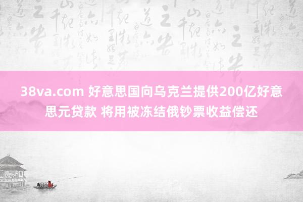 38va.com 好意思国向乌克兰提供200亿好意思元贷款 将用被冻结俄钞票收益偿还