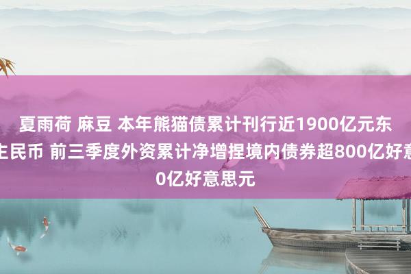 夏雨荷 麻豆 本年熊猫债累计刊行近1900亿元东说念主民币 前三季度外资累计净增捏境内债券超800亿好意思元