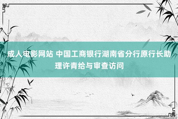 成人电影网站 中国工商银行湖南省分行原行长助理许青给与审查访问