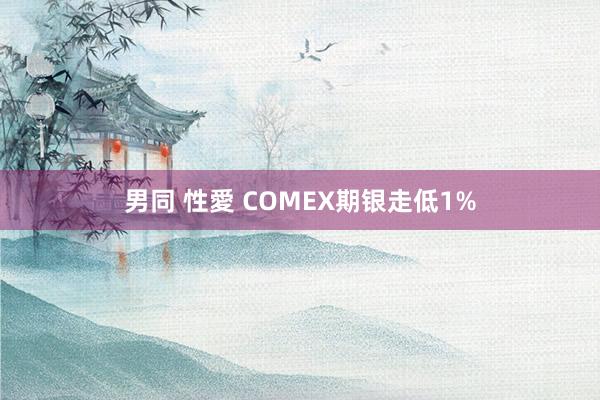 男同 性愛 COMEX期银走低1%