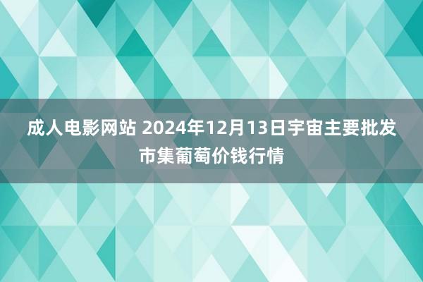 成人电影网站 2024年12月13日宇宙主要批发市集葡萄价钱行情