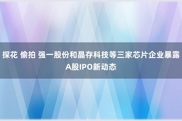 探花 偷拍 强一股份和晶存科技等三家芯片企业暴露A股IPO新动态