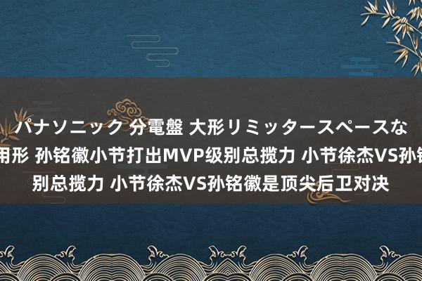 パナソニック 分電盤 大形リミッタースペースなし 露出・半埋込両用形 孙铭徽小节打出MVP级别总揽力 小节徐杰VS孙铭徽是顶尖后卫对决