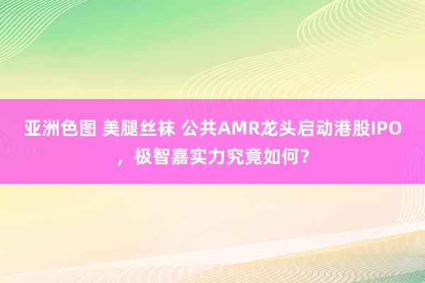 亚洲色图 美腿丝袜 公共AMR龙头启动港股IPO，极智嘉实力究竟如何？