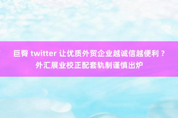 巨臀 twitter 让优质外贸企业越诚信越便利 ?外汇展业校正配套轨制谨慎出炉