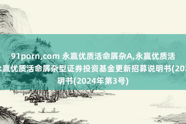 91porn，com 永赢优质活命羼杂A，永赢优质活命羼杂C: 永赢优质活命羼杂型证券投资基金更新招募说明书(2024年第3号)