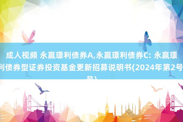 成人视频 永赢璟利债券A，永赢璟利债券C: 永赢璟利债券型证券投资基金更新招募说明书(2024年第2号)