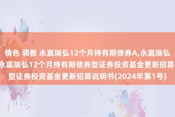 情色 调教 永赢瑞弘12个月持有期债券A，永赢瑞弘12个月持有期债券C: 永赢瑞弘12个月持有期债券型证券投资基金更新招募说明书(2024年第1号)