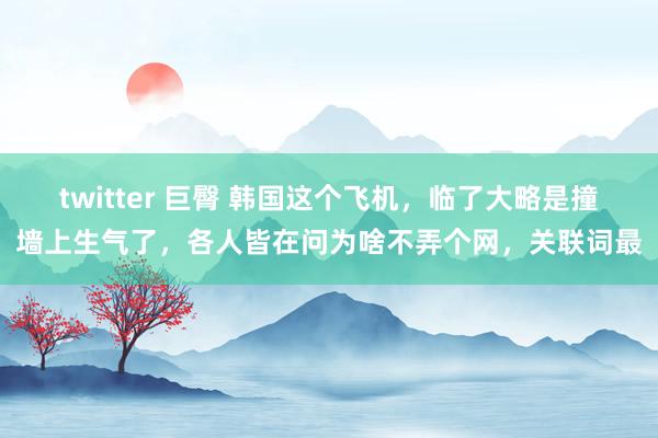 twitter 巨臀 韩国这个飞机，临了大略是撞墙上生气了，各人皆在问为啥不弄个网，关联词最