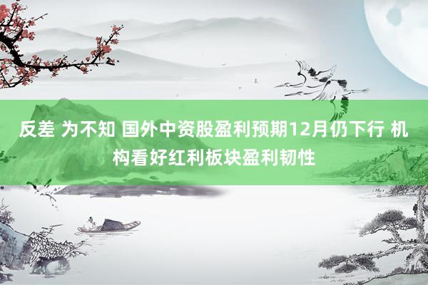 反差 为不知 国外中资股盈利预期12月仍下行 机构看好红利板块盈利韧性