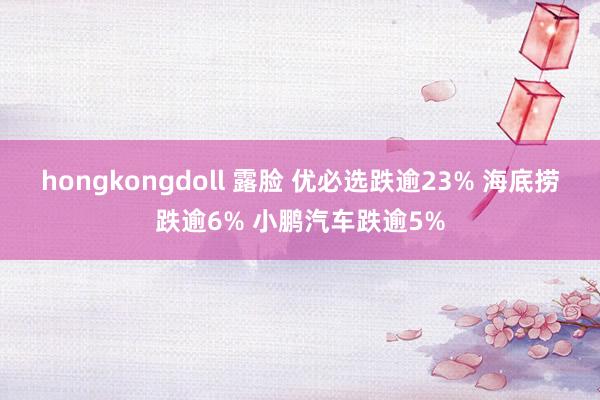 hongkongdoll 露脸 优必选跌逾23% 海底捞跌逾6% 小鹏汽车跌逾5%