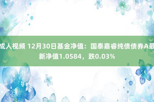 成人视频 12月30日基金净值：国泰嘉睿纯债债券A最新净值1.0584，跌0.03%