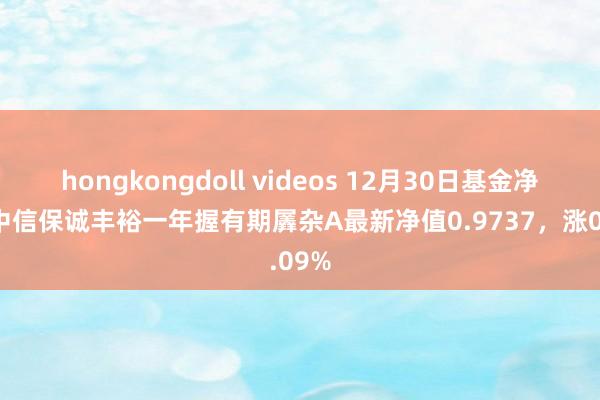 hongkongdoll videos 12月30日基金净值：中信保诚丰裕一年握有期羼杂A最新净值0.9737，涨0.09%