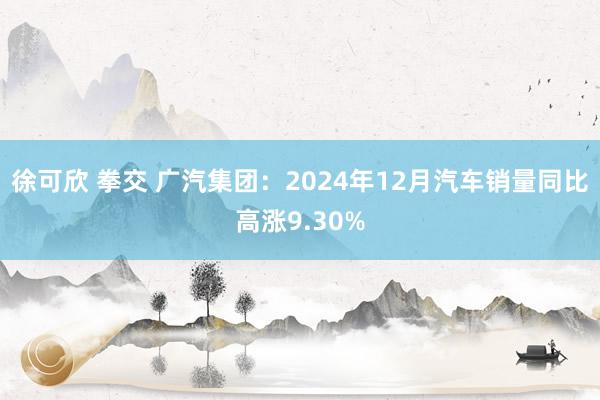 徐可欣 拳交 广汽集团：2024年12月汽车销量同比高涨9.30%