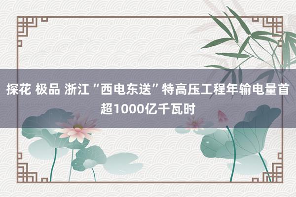 探花 极品 浙江“西电东送”特高压工程年输电量首超1000亿千瓦时