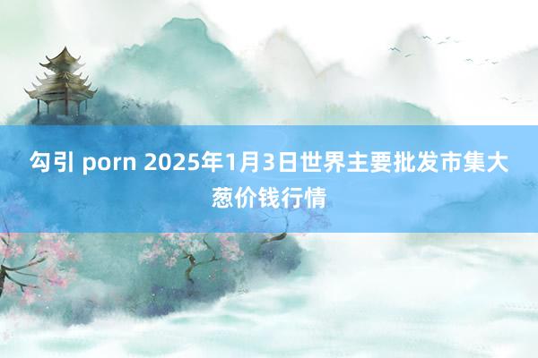 勾引 porn 2025年1月3日世界主要批发市集大葱价钱行情