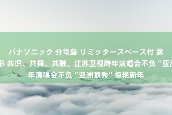 パナソニック 分電盤 リミッタースペース付 露出・半埋込両用形 共识、共舞、共融，江苏卫视跨年演唱会不负“亚洲顶秀”惊艳新年