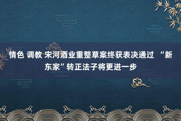 情色 调教 宋河酒业重整草案终获表决通过  “新东家”转正法子将更进一步