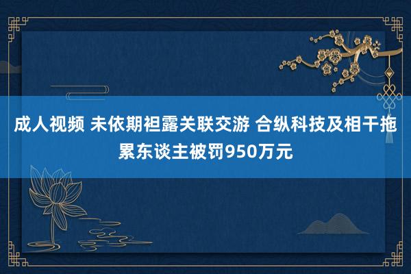 成人视频 未依期袒露关联交游 合纵科技及相干拖累东谈主被罚950万元