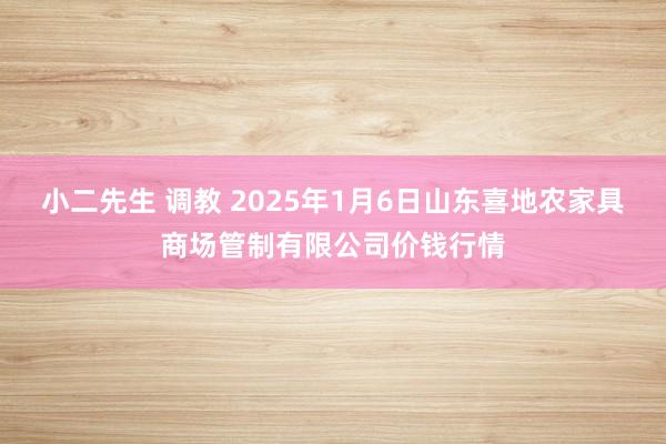 小二先生 调教 2025年1月6日山东喜地农家具商场管制有限公司价钱行情