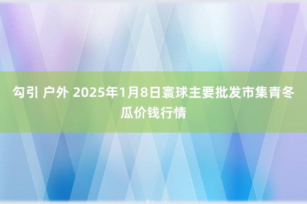 勾引 户外 2025年1月8日寰球主要批发市集青冬瓜价钱行情