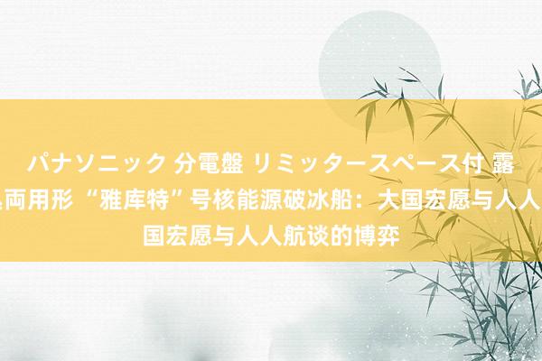 パナソニック 分電盤 リミッタースペース付 露出・半埋込両用形 “雅库特”号核能源破冰船：大国宏愿与人人航谈的博弈