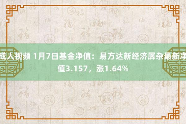 成人视频 1月7日基金净值：易方达新经济羼杂最新净值3.157，涨1.64%