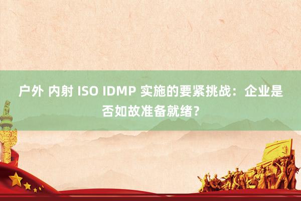 户外 内射 ISO IDMP 实施的要紧挑战：企业是否如故准备就绪？