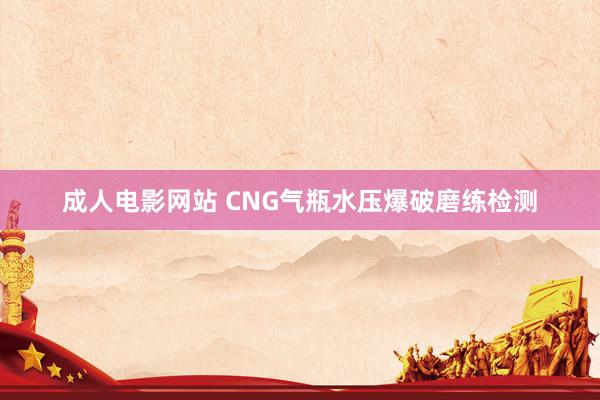 成人电影网站 CNG气瓶水压爆破磨练检测