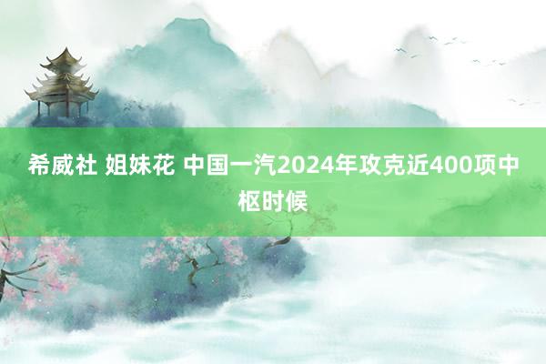 希威社 姐妹花 中国一汽2024年攻克近400项中枢时候