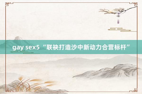 gay sex5 “联袂打造沙中新动力合营标杆”