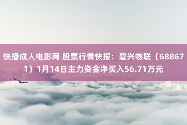 快播成人电影网 股票行情快报：碧兴物联（688671）1月14日主力资金净买入56.71万元