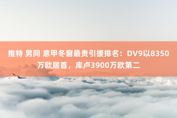 推特 男同 意甲冬窗最贵引援排名：DV9以8350万欧居首，库卢3900万欧第二