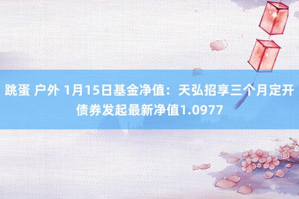 跳蛋 户外 1月15日基金净值：天弘招享三个月定开债券发起最新净值1.0977