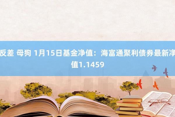 反差 母狗 1月15日基金净值：海富通聚利债券最新净值1.1459