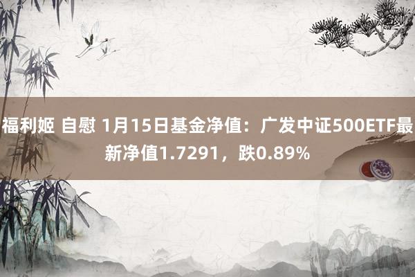 福利姬 自慰 1月15日基金净值：广发中证500ETF最新净值1.7291，跌0.89%