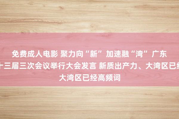 免费成人电影 聚力向“新” 加速融“湾” 广东省政协十三届三次会议举行大会发言 新质出产力、大湾区已经高频词